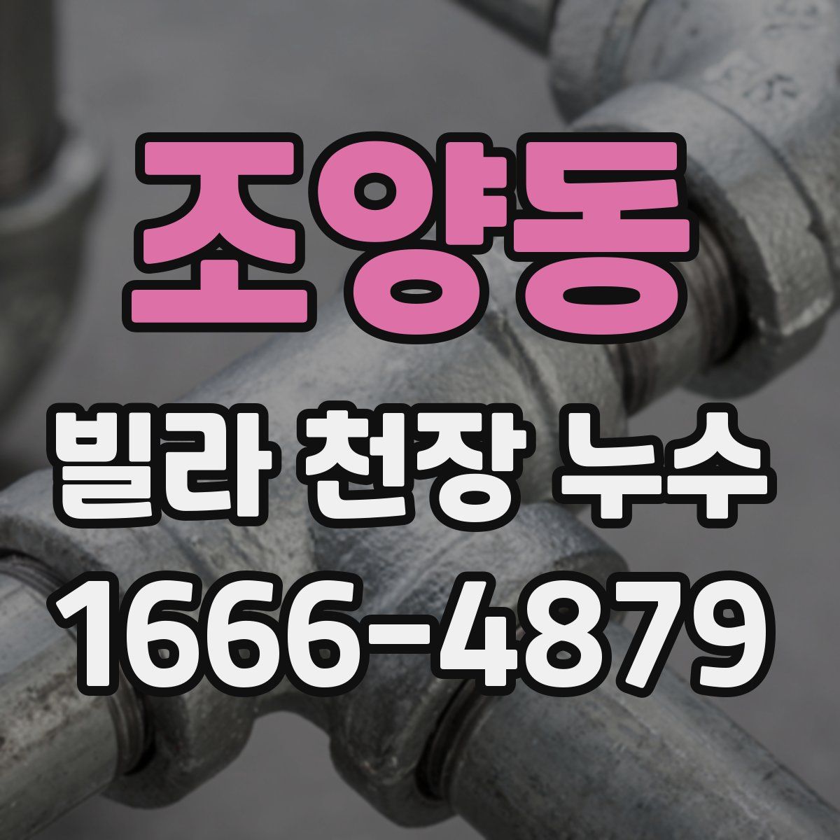 조양동 빌라 천장 누수