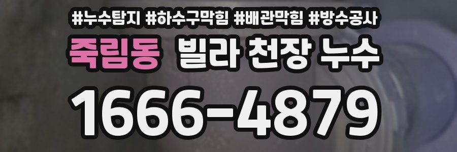 죽림동 빌라 천장 누수