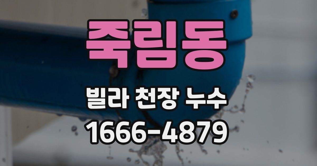 죽림동 빌라 천장 누수