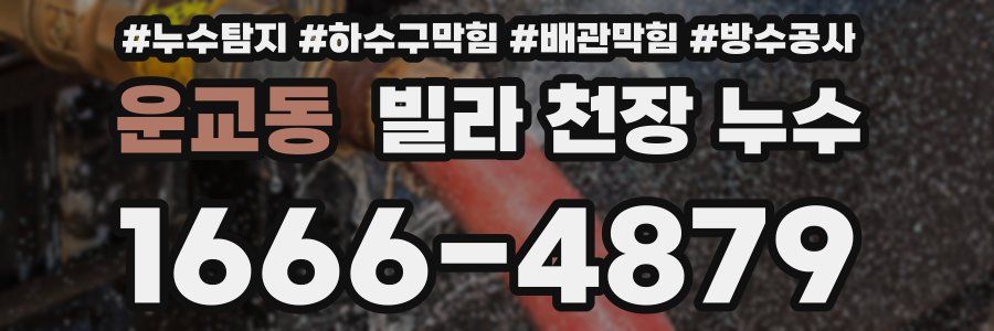운교동 빌라 천장 누수