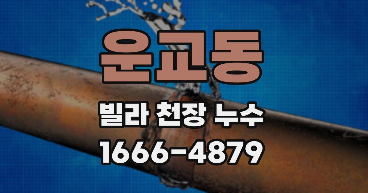 운교동 빌라 천장 누수