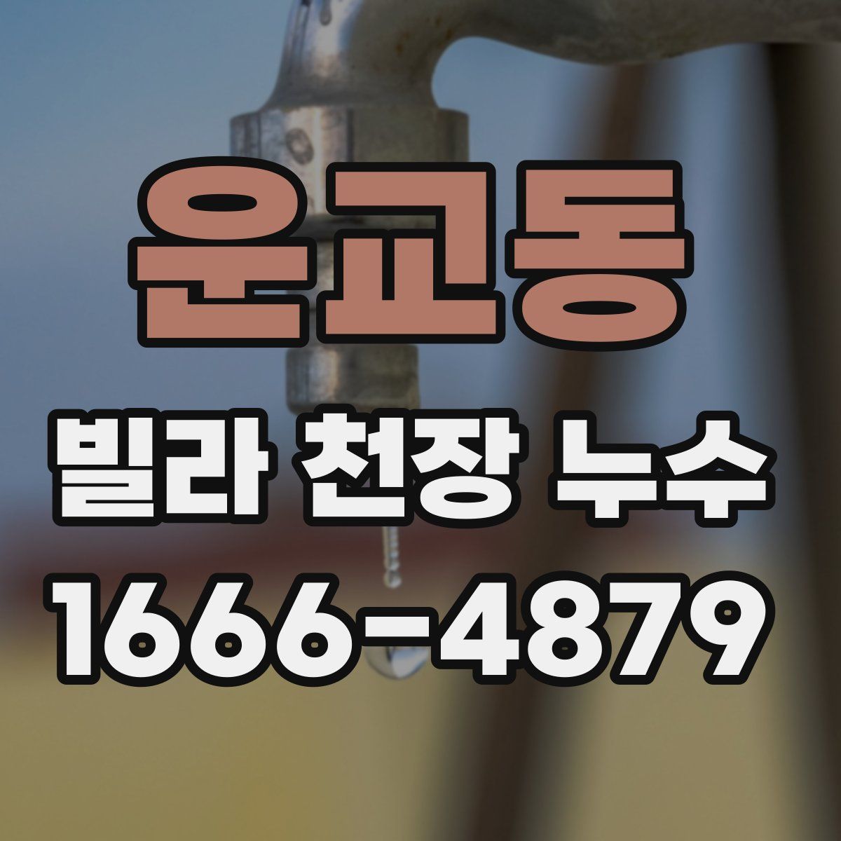 운교동 빌라 천장 누수