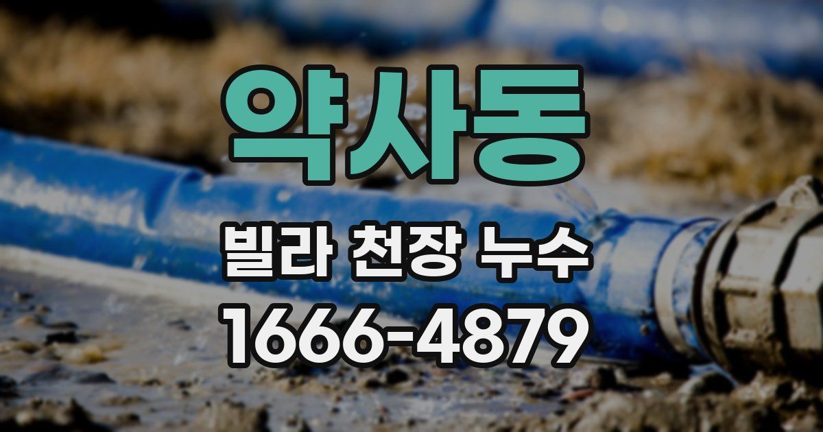 약사동 빌라 천장 누수