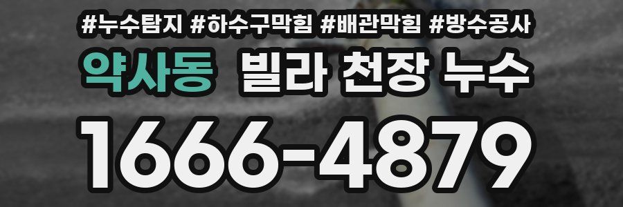 약사동 빌라 천장 누수