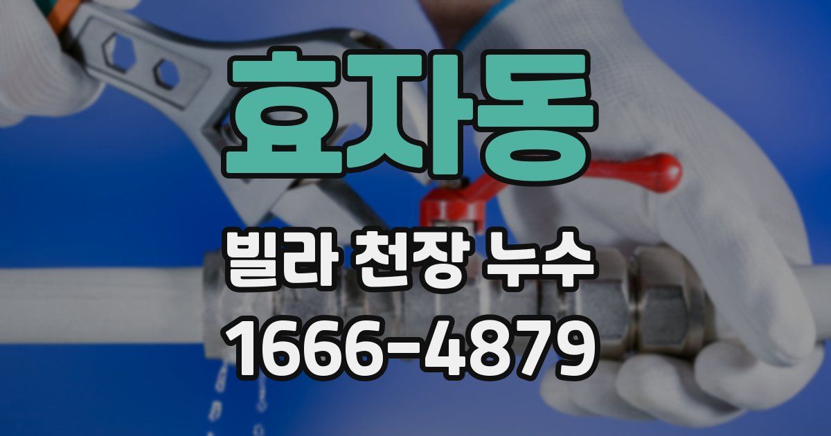 효자동 빌라 천장 누수