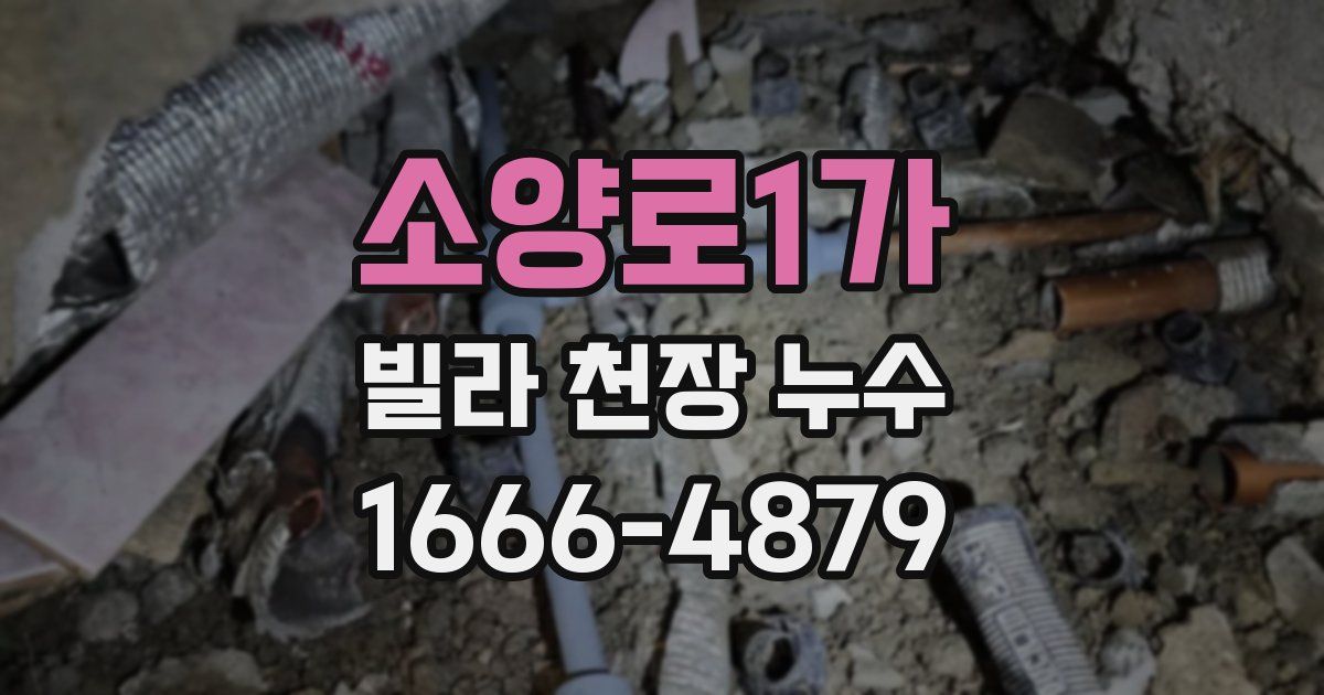 소양로1가 빌라 천장 누수