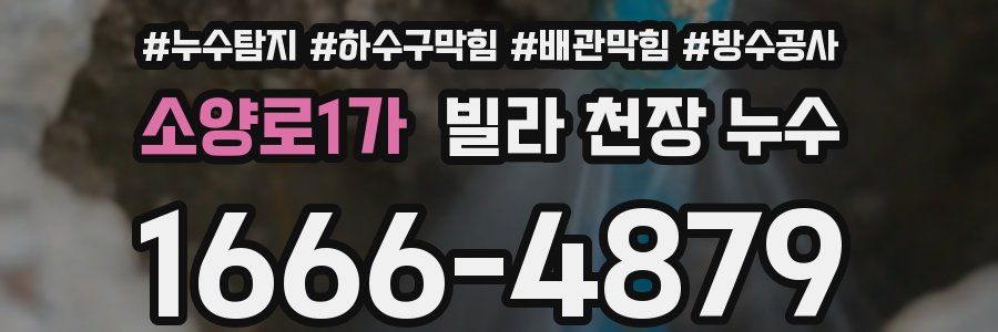 소양로1가 빌라 천장 누수