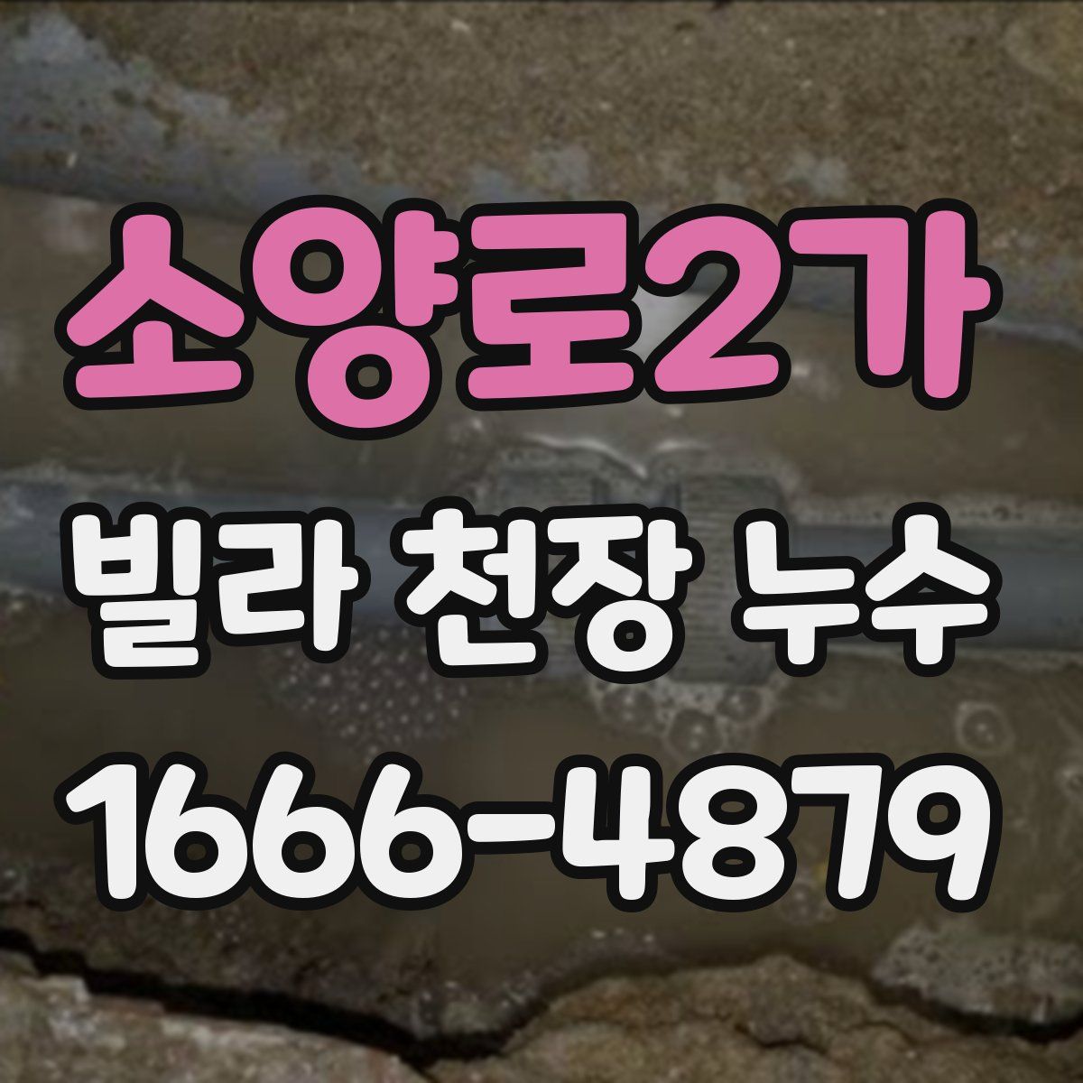 소양로2가 빌라 천장 누수