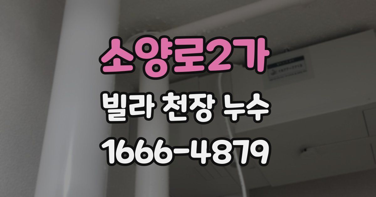 소양로2가 빌라 천장 누수