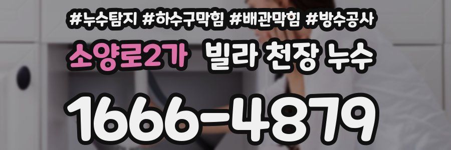 소양로2가 빌라 천장 누수