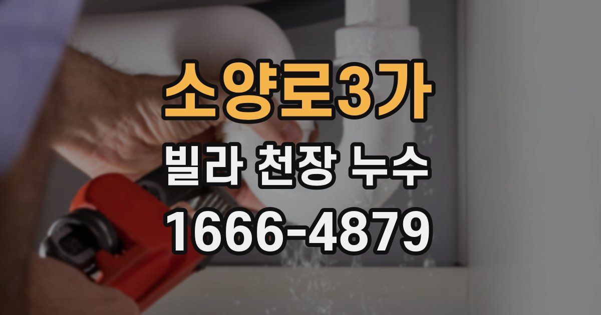소양로3가 빌라 천장 누수