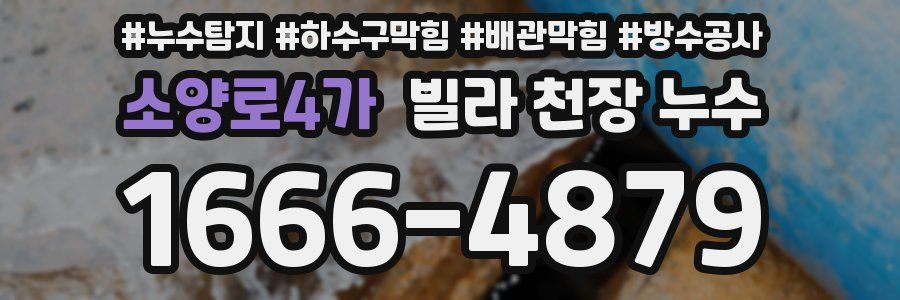 소양로4가 빌라 천장 누수