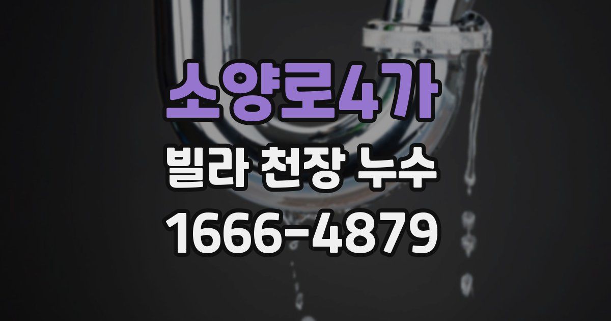소양로4가 빌라 천장 누수