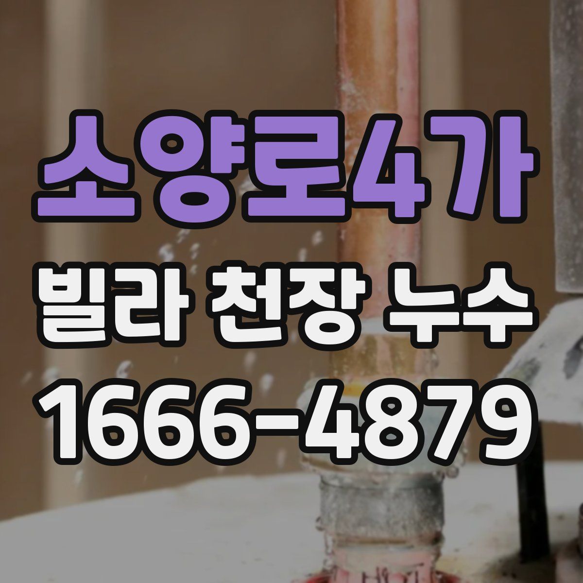 소양로4가 빌라 천장 누수