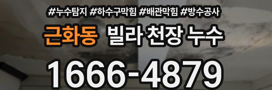 근화동 빌라 천장 누수