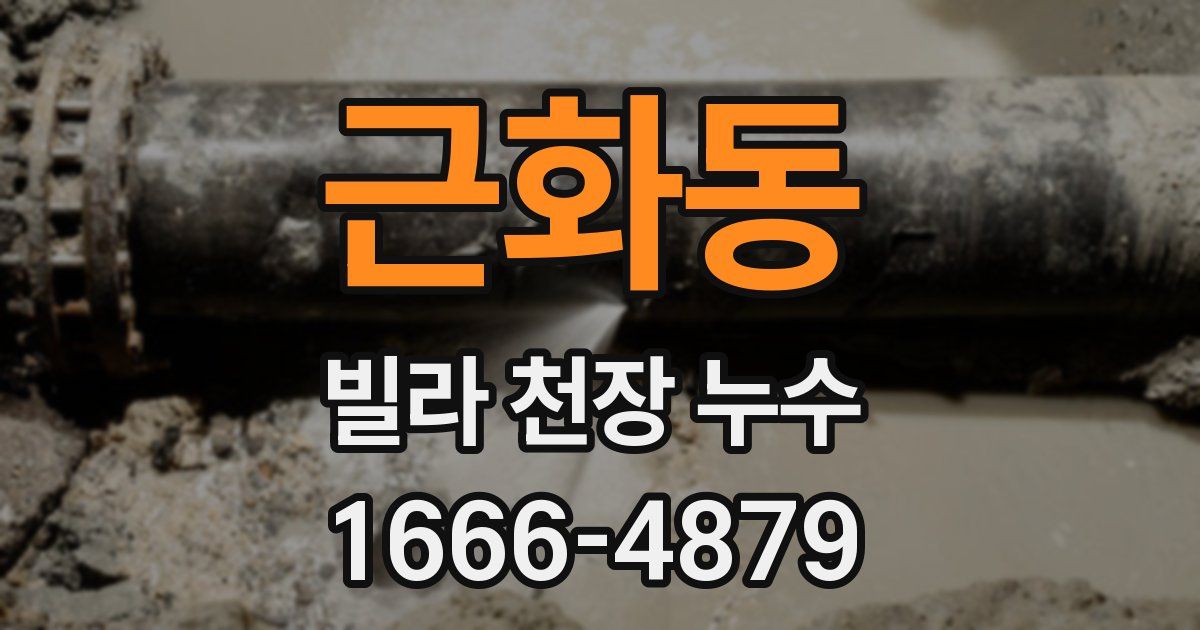 근화동 빌라 천장 누수