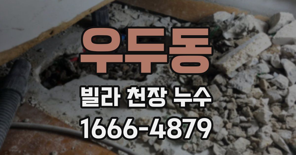 우두동 빌라 천장 누수