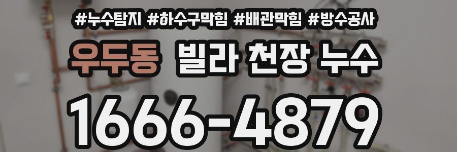 우두동 빌라 천장 누수