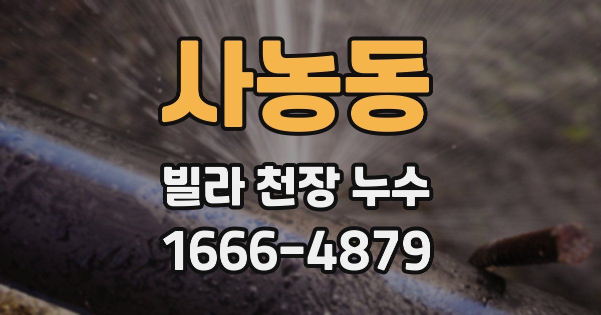 사농동 빌라 천장 누수