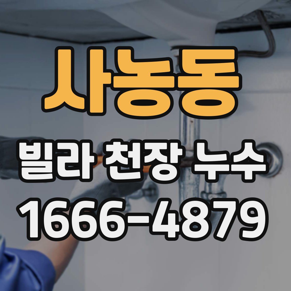 사농동 빌라 천장 누수