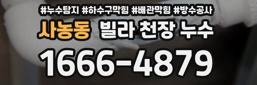 사농동 빌라 천장 누수