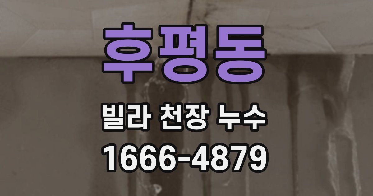 후평동 빌라 천장 누수