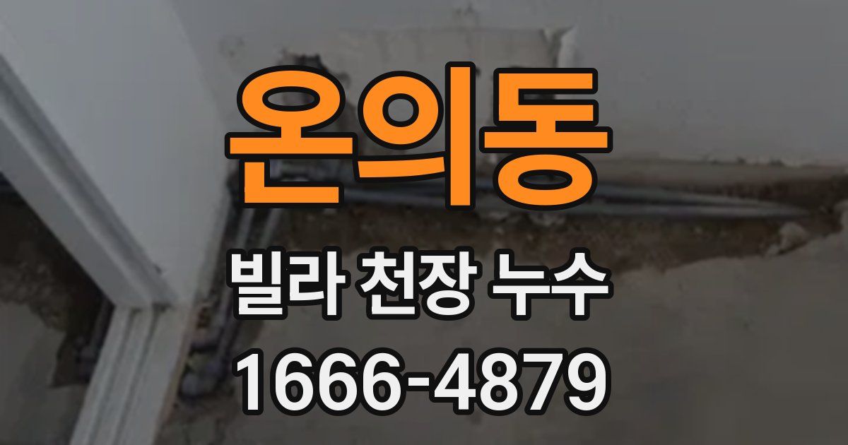 온의동 빌라 천장 누수