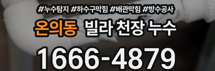 온의동 빌라 천장 누수
