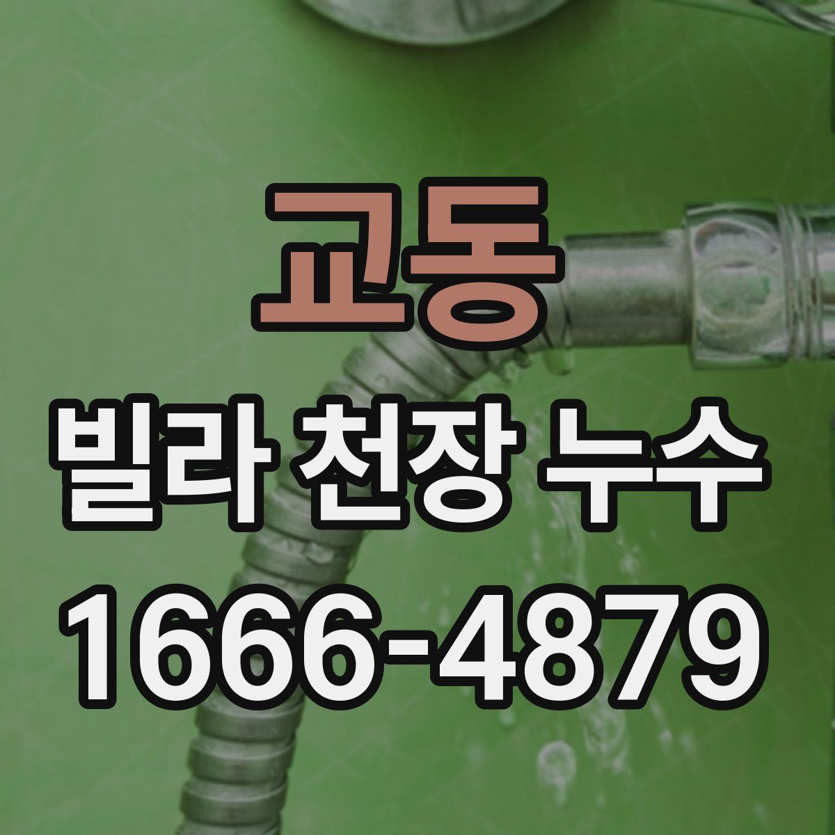 교동 빌라 천장 누수