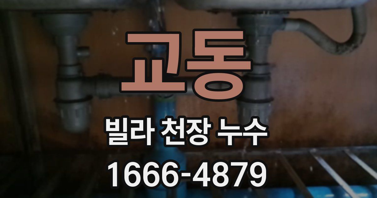 교동 빌라 천장 누수