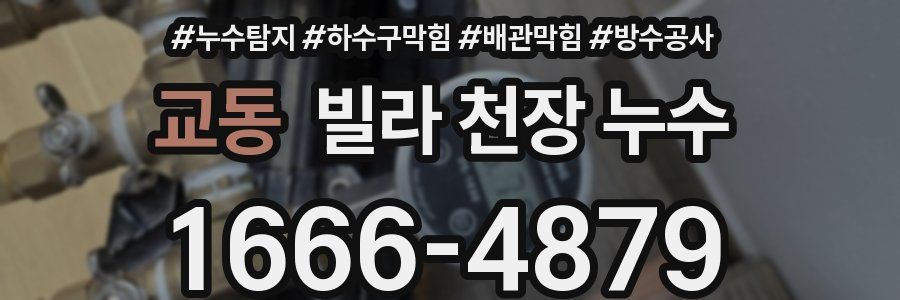 교동 빌라 천장 누수