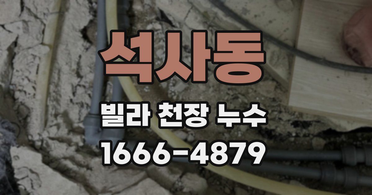 석사동 빌라 천장 누수