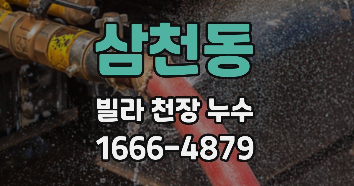 삼천동 빌라 천장 누수