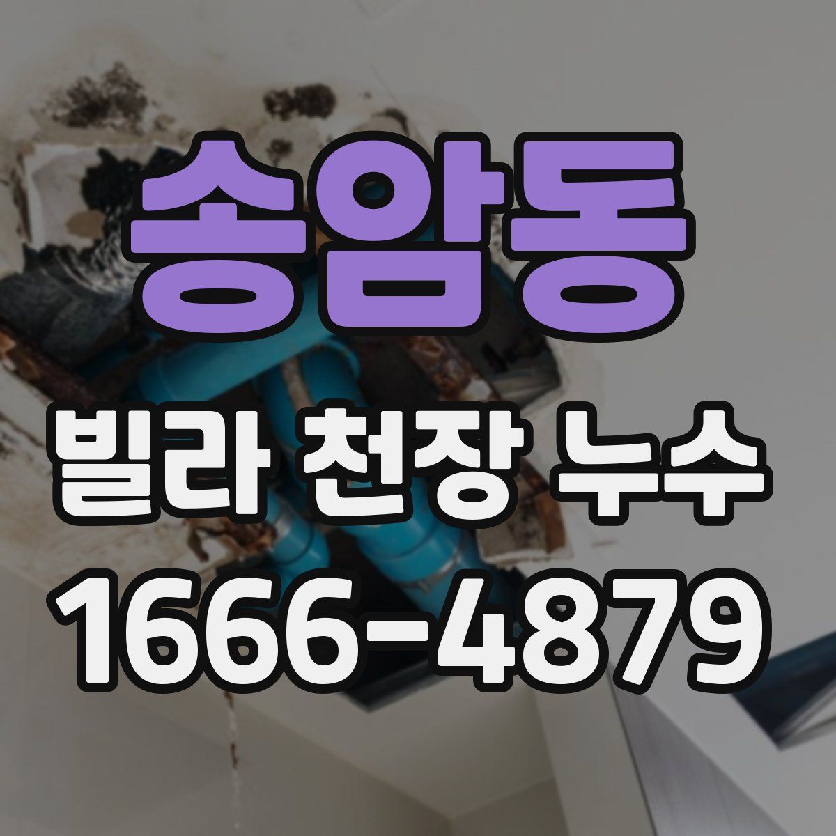 송암동 빌라 천장 누수