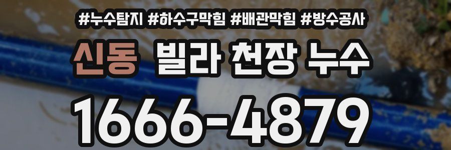 신동 빌라 천장 누수