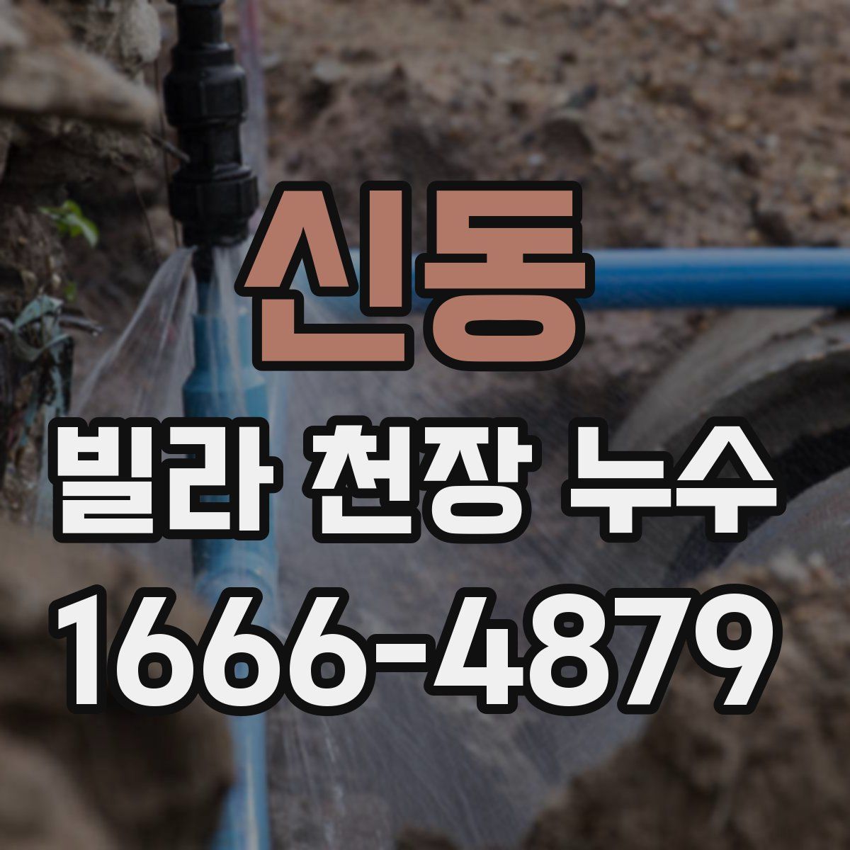 신동 빌라 천장 누수