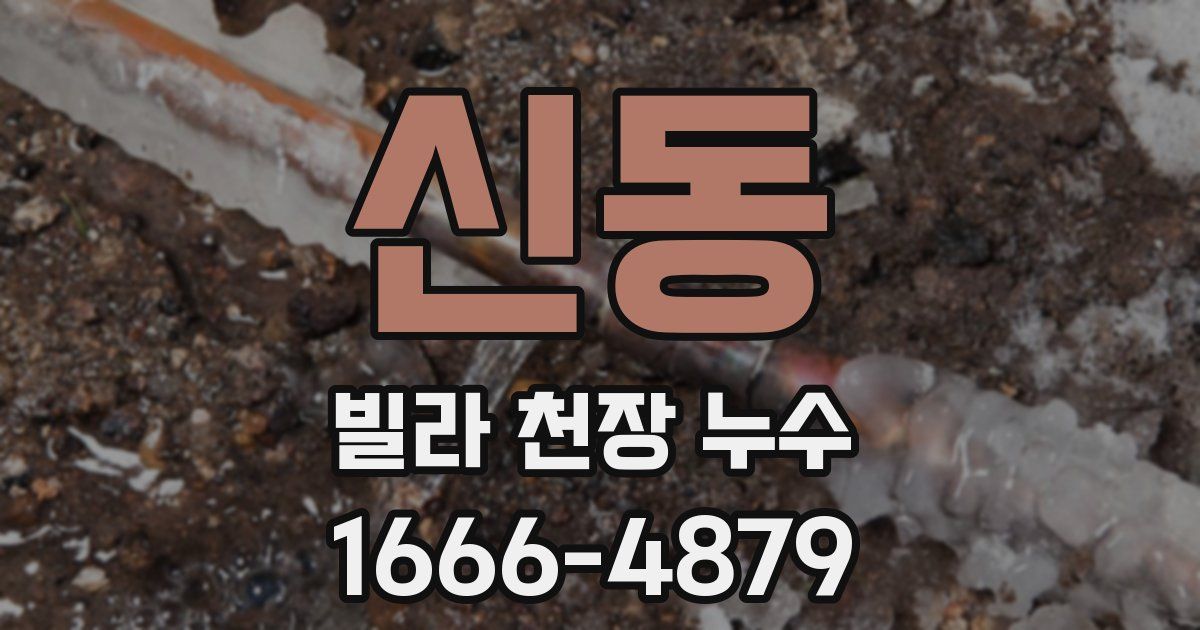신동 빌라 천장 누수