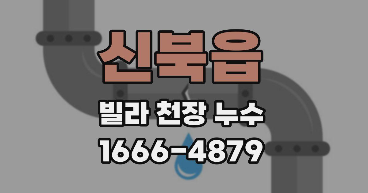 신북읍 빌라 천장 누수