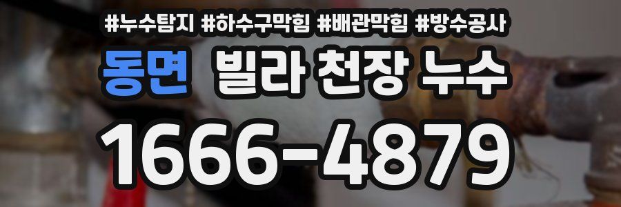 동면 빌라 천장 누수