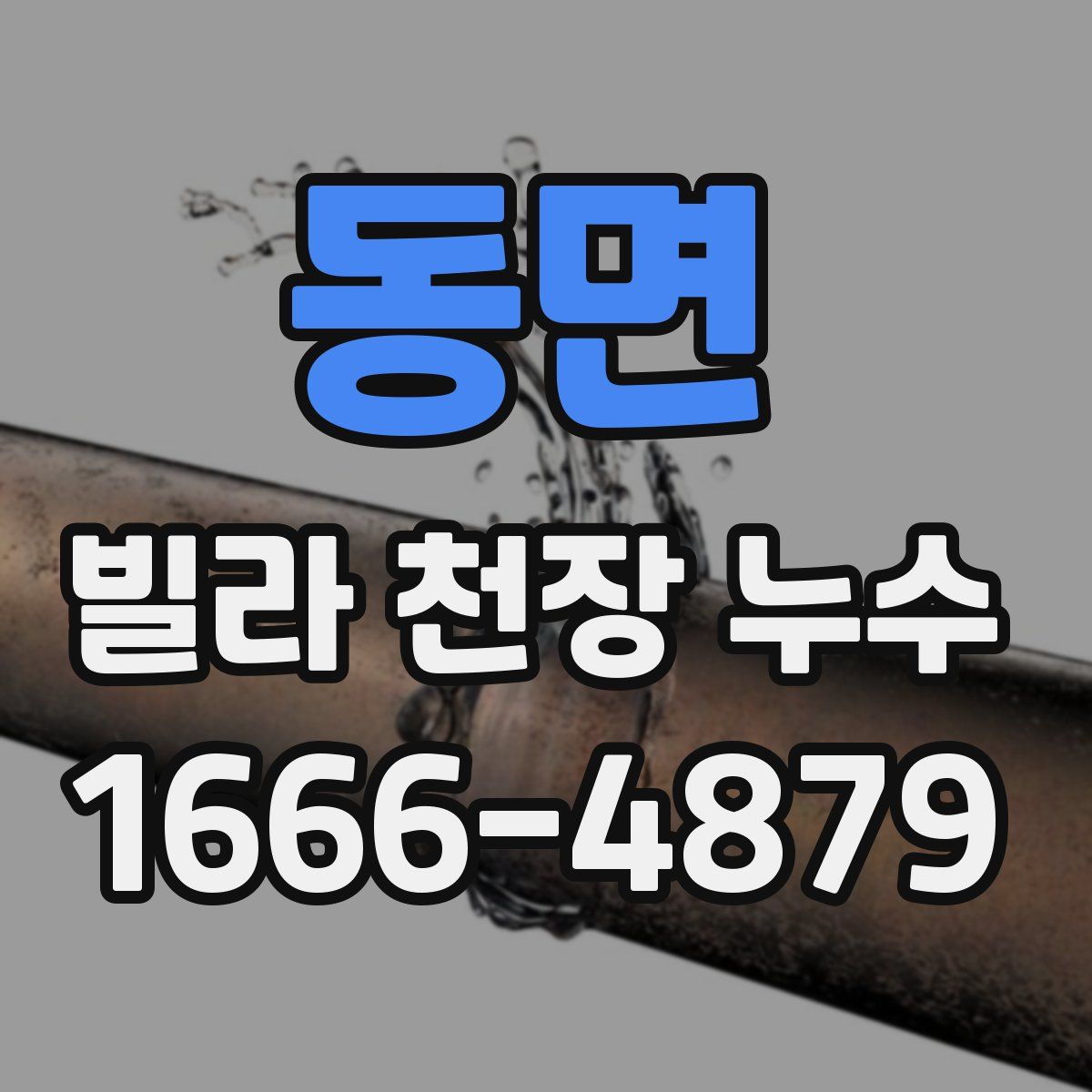 동면 빌라 천장 누수