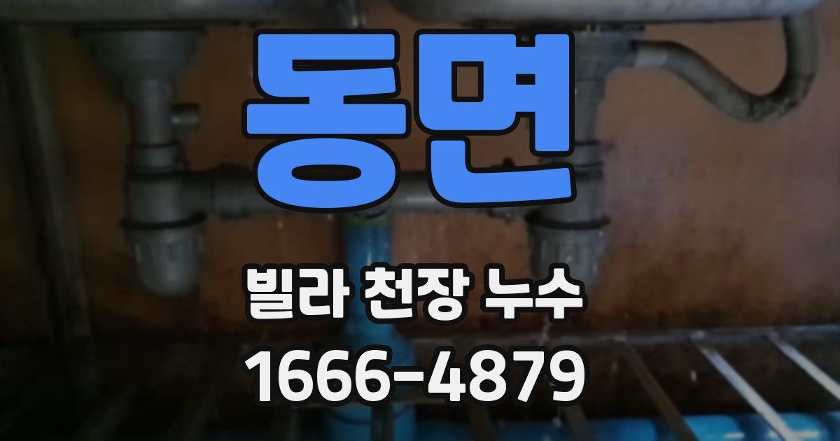동면 빌라 천장 누수