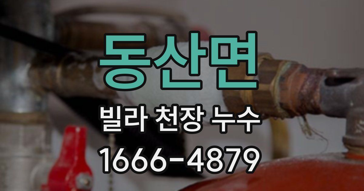 동산면 빌라 천장 누수