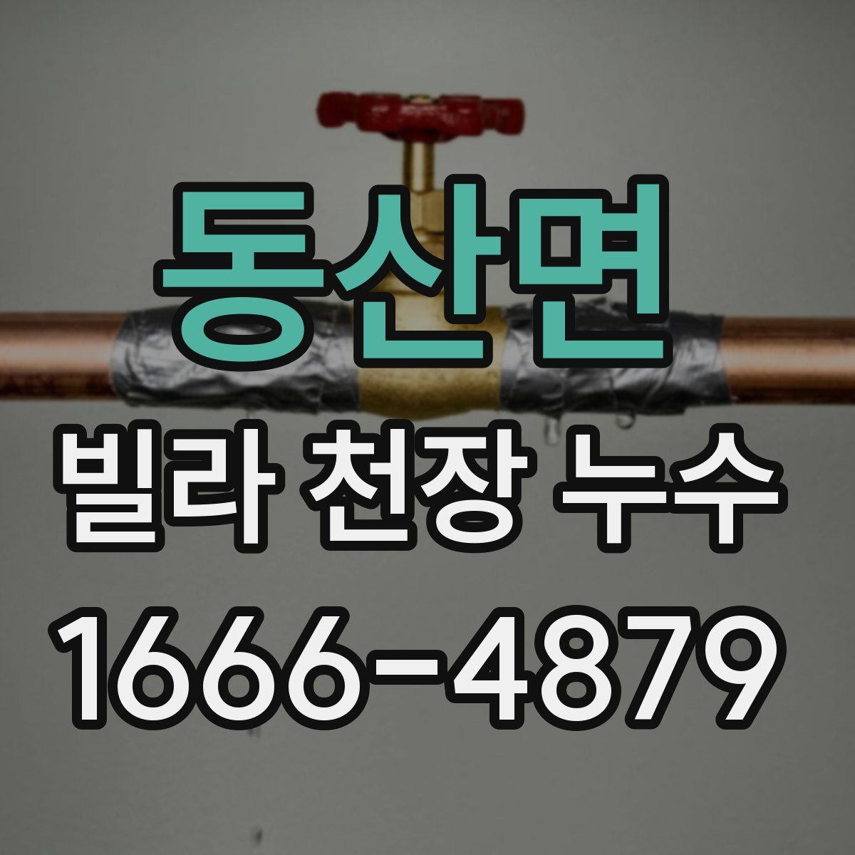 동산면 빌라 천장 누수
