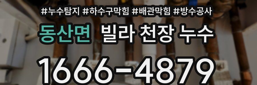 동산면 빌라 천장 누수