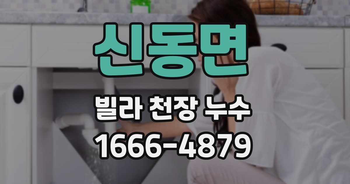 신동면 빌라 천장 누수