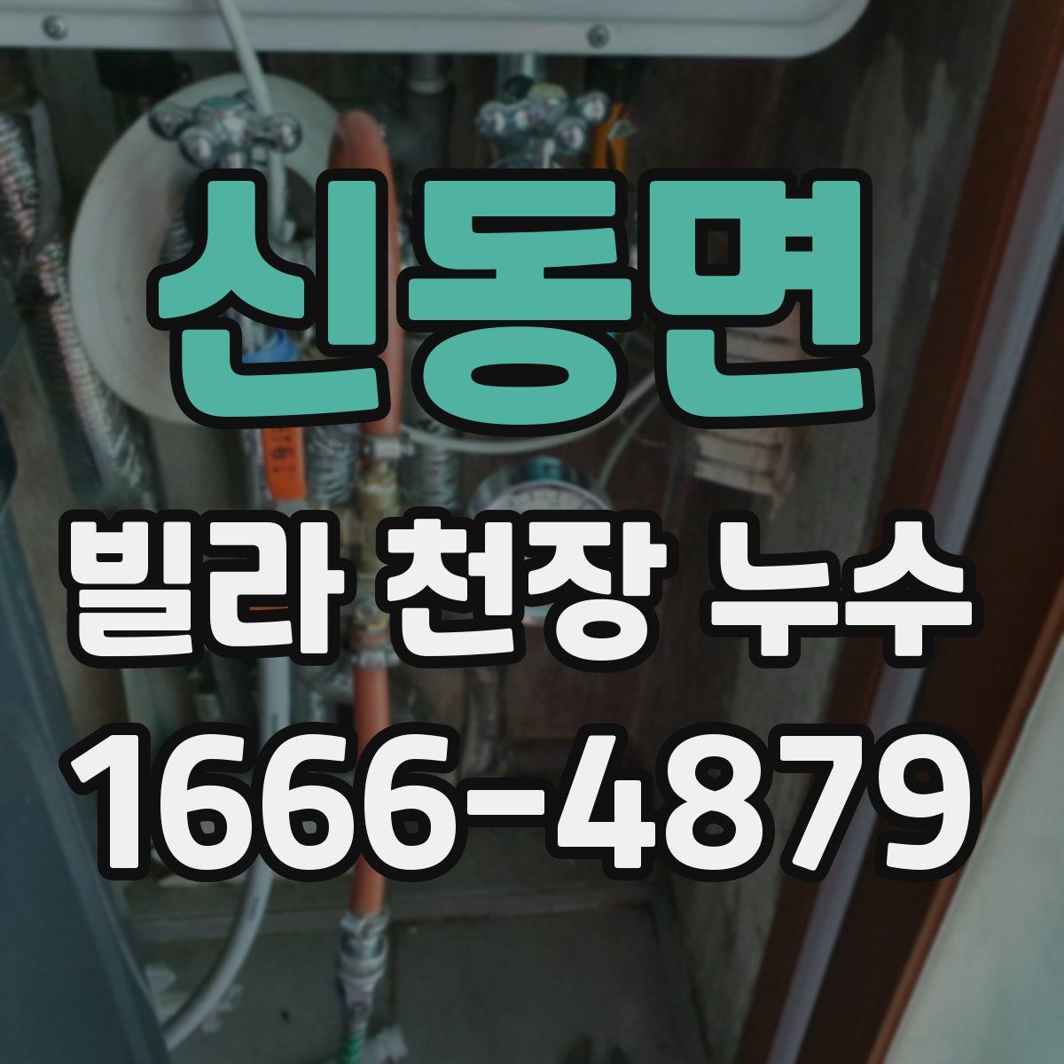 신동면 빌라 천장 누수