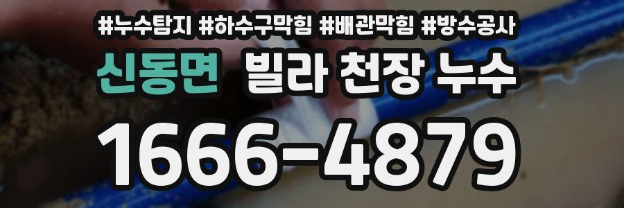 신동면 빌라 천장 누수