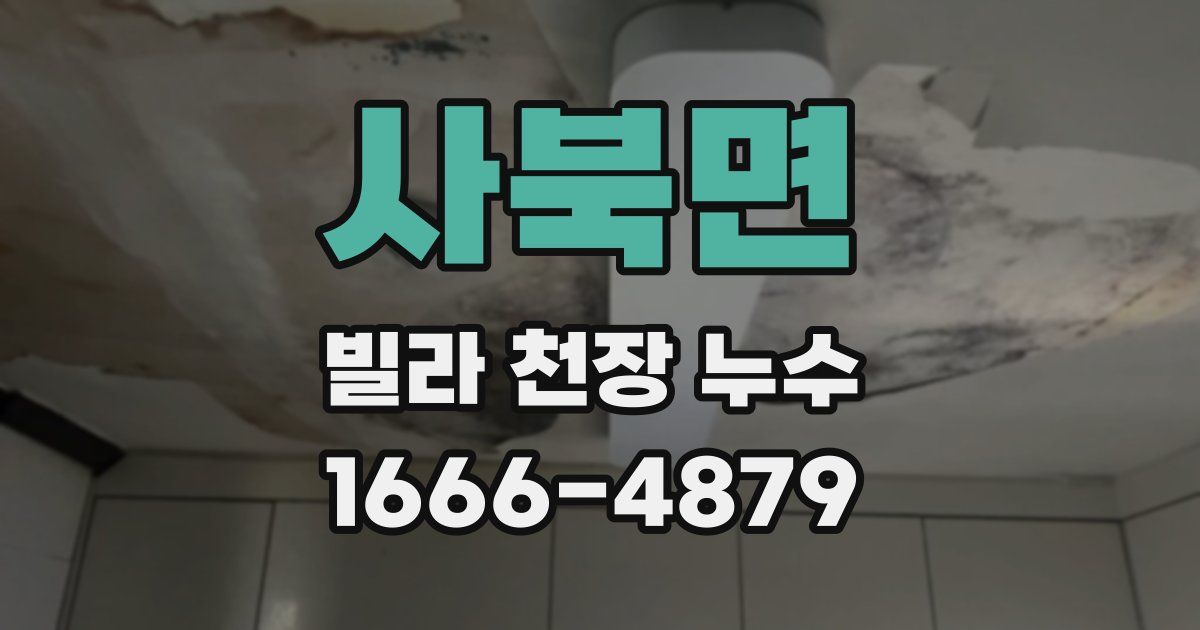 사북면 빌라 천장 누수