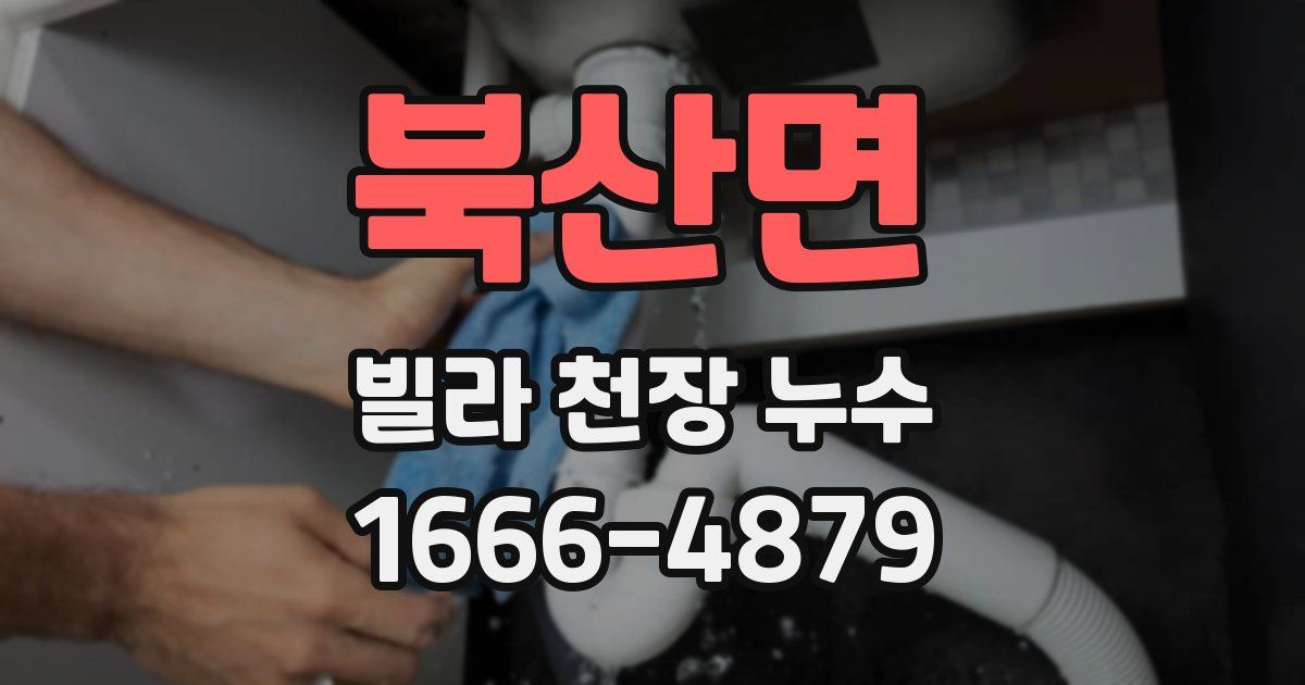 북산면 빌라 천장 누수