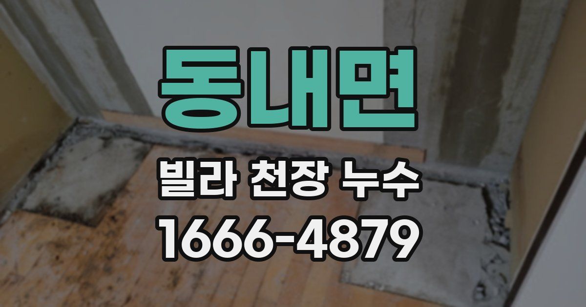 동내면 빌라 천장 누수